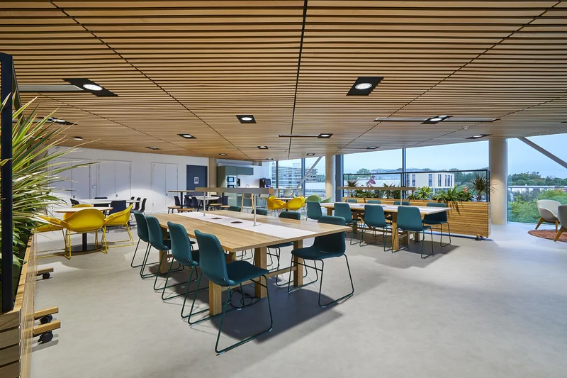 Slatted timber ceiling above the shared seating and meeting area