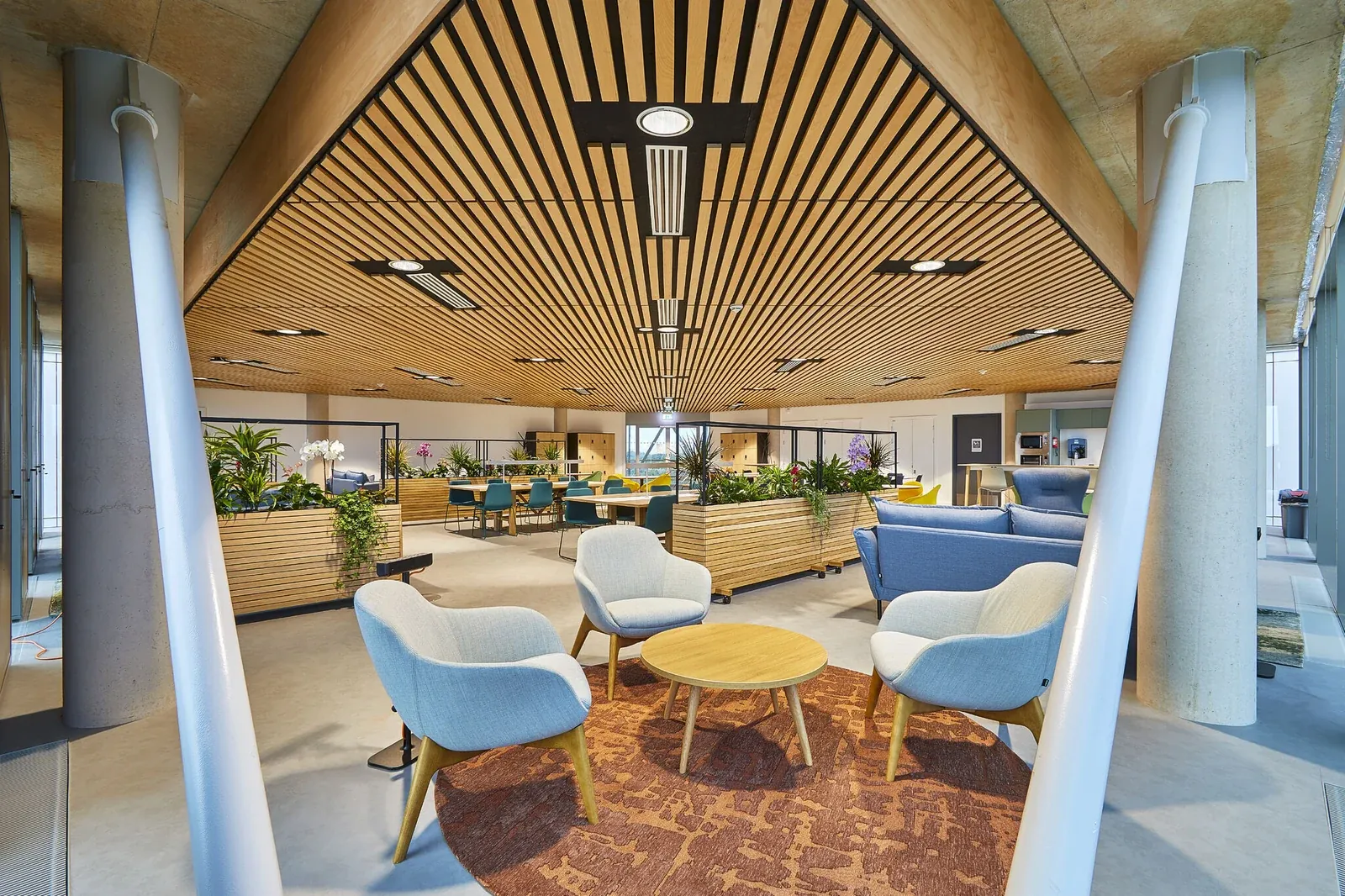 Continuous timber slats framed by the exposed structure