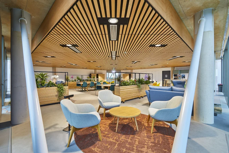 Continuous timber slats framed by the exposed structure