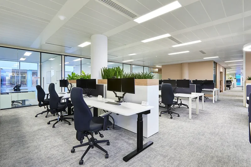 Open-plan office with sit-stand desks, dual monitors, planted desk screens and a run of glazed rooms along the window wall